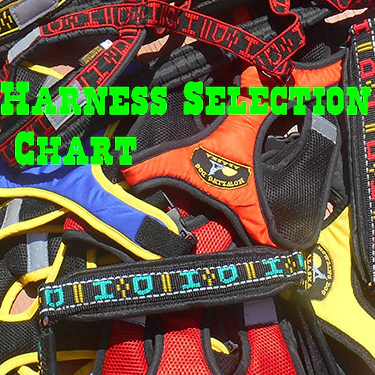 Gear Up for Your Adventure