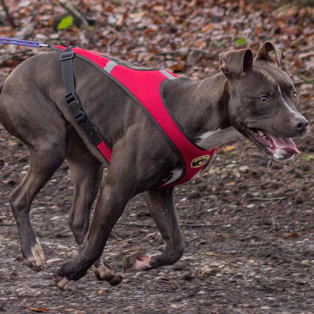Second Skin™ Harness - Image 4