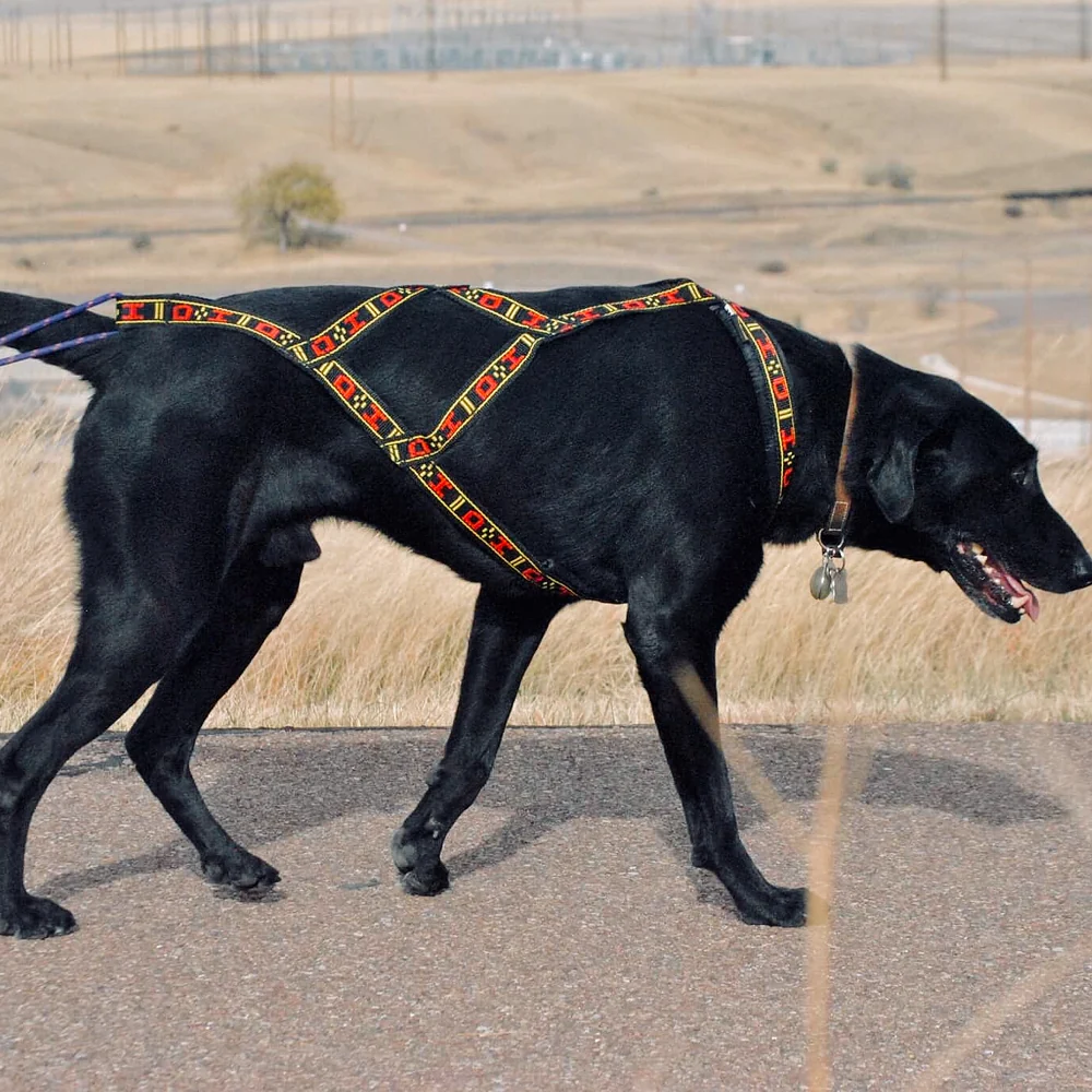 Standard Harness - Image 4