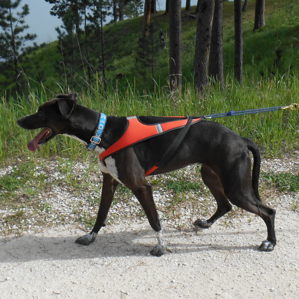 Tough Skin™ Harness - Image 5