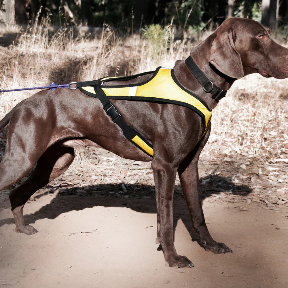 Tough Skin™ Harness ULTRA - Image 3