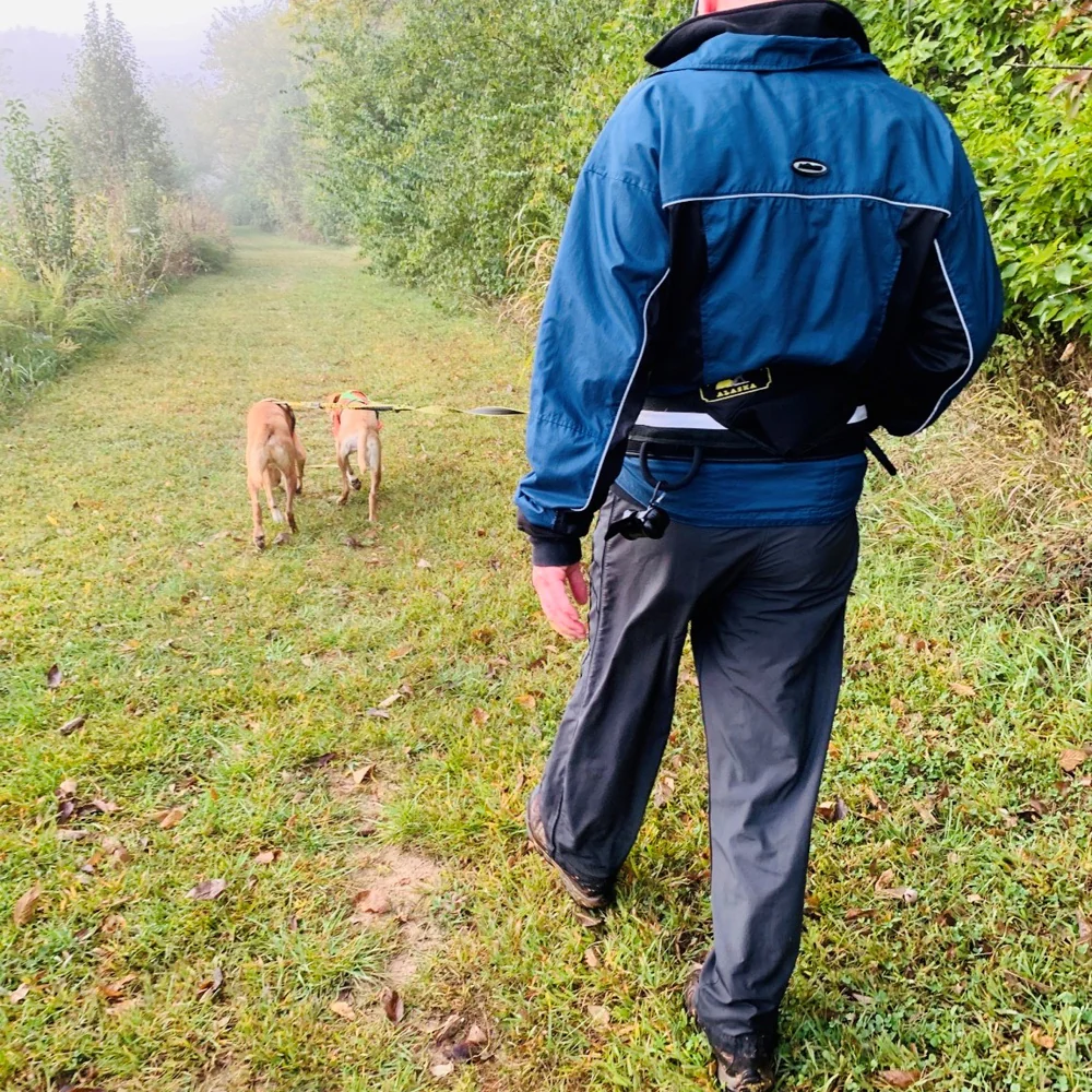 Trekking Belt - Image 4